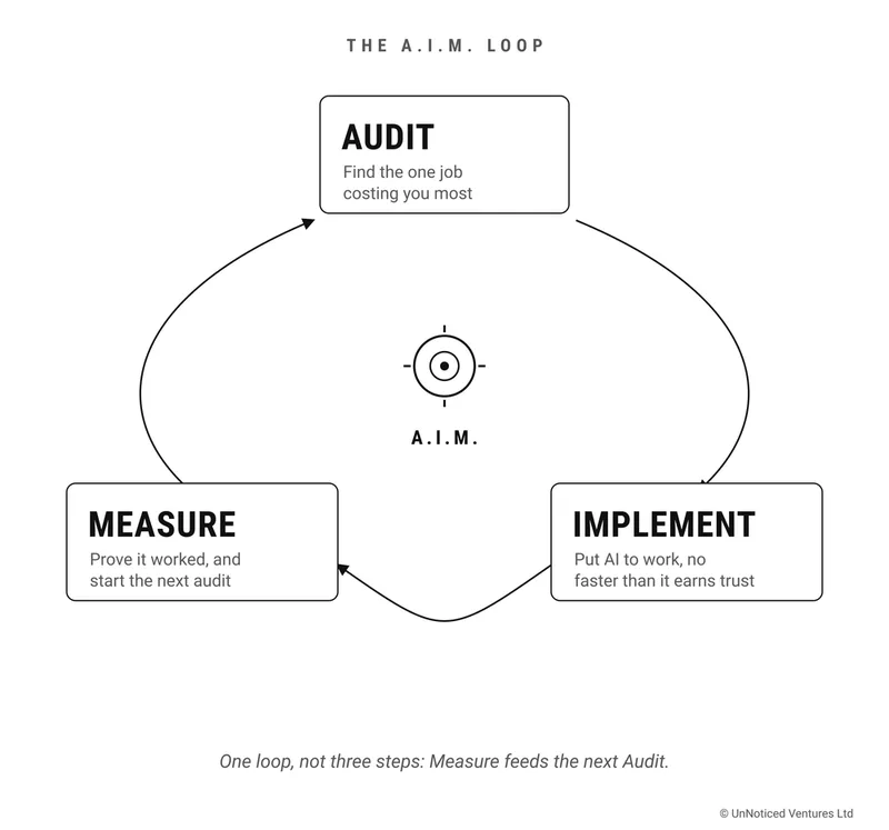 The A.I.M. loop diagram